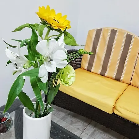 Casa vacanze La Cittadella Apartement *